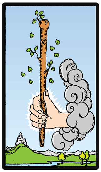 Ace of Wands Tarot card